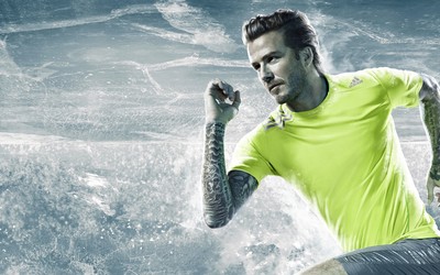 维基体育热议-尼古拉佩佩入选英超名人堂