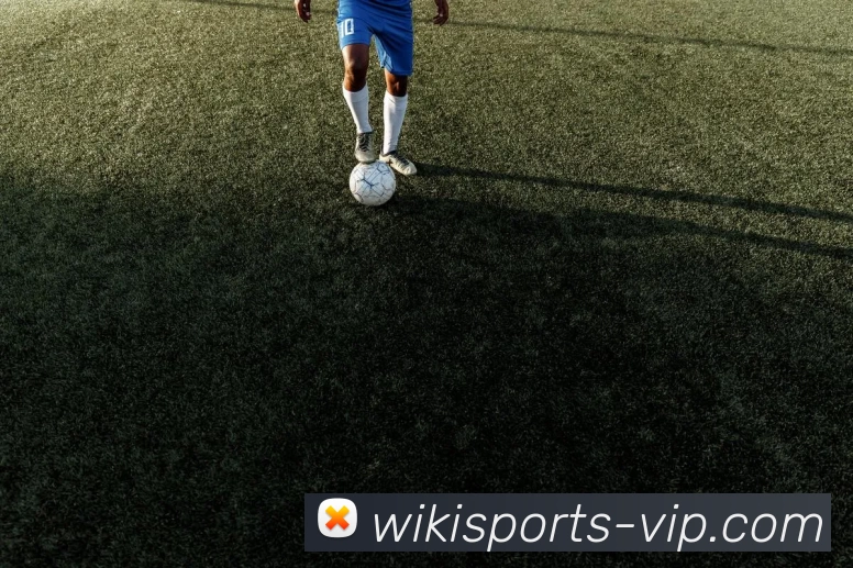 维基体育官网全站App